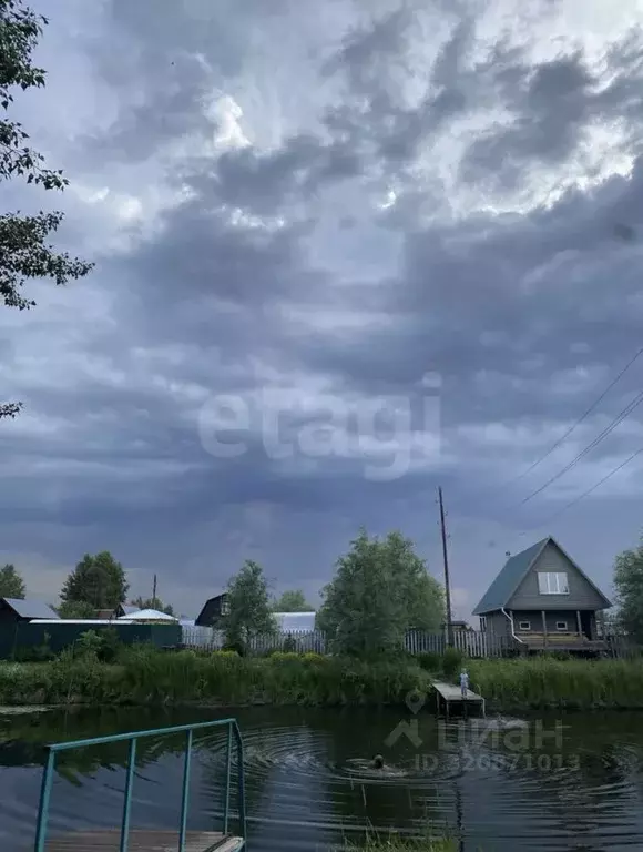 Участок в Новосибирская область, Коченевский район, Сигнал СТ ул. 2-я ... - Фото 0