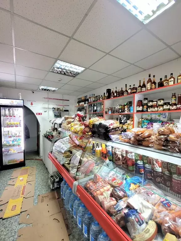 Действующий продуктовый магазин 50.6 м2 - Фото 0