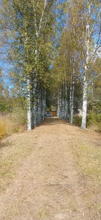 Дом 85 м на участке 30 сот. - Фото 0