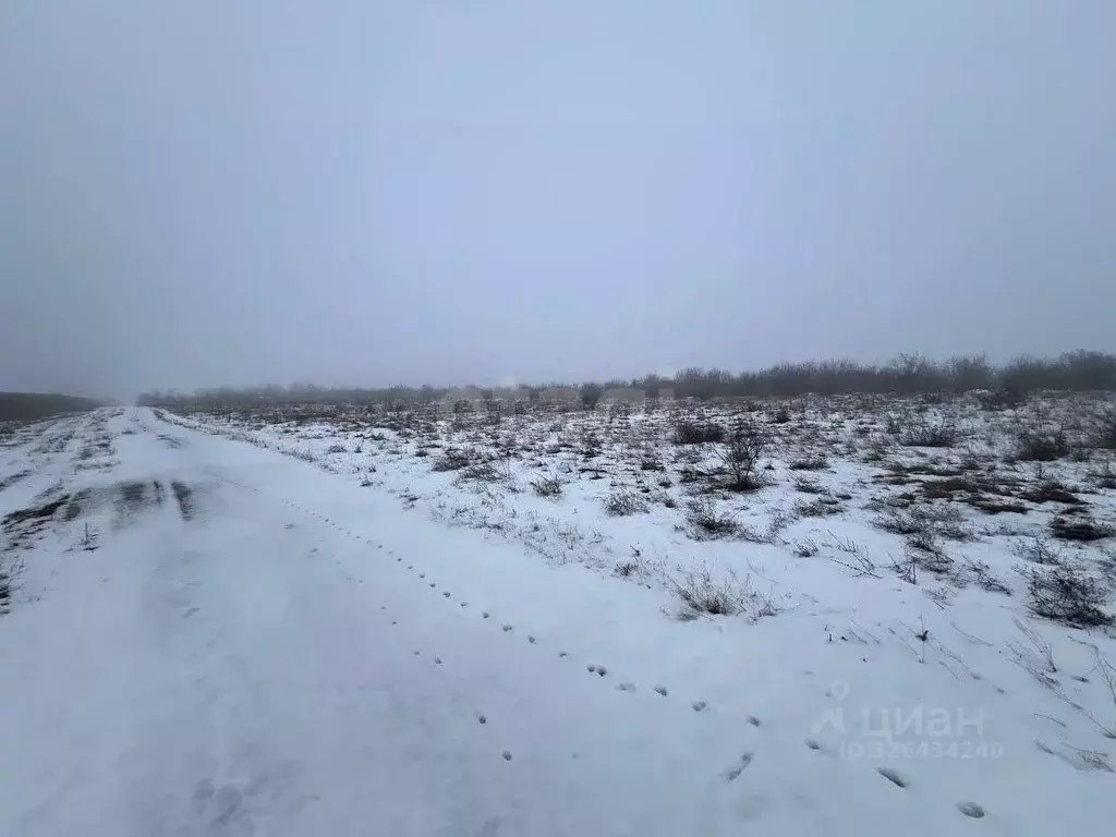 Участок в Крым, Кировский район, Абрикосовское с/пос, с. Бабенково ул. ... - Фото 1