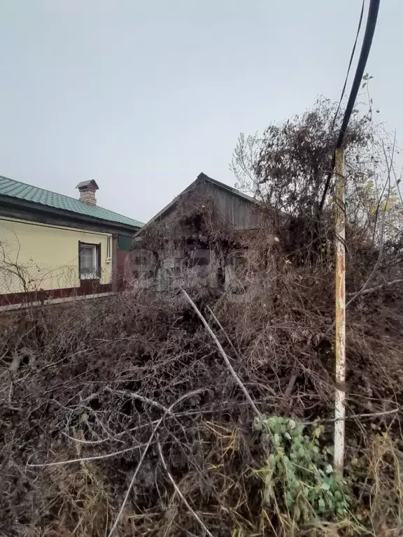 Дом в Саратовская область, Балашовский район, с. Тростянка ул. Ленина, ... - Фото 1