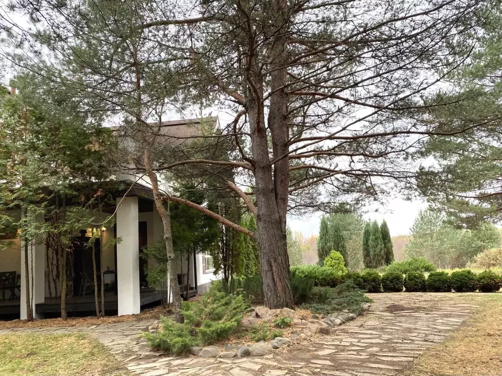 Дом в Ярославская область, Некрасовский муниципальный округ, д. ... - Фото 2