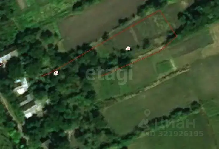 Участок в Ставропольский край, Труновский муниципальный округ, Кофанов ... - Фото 1