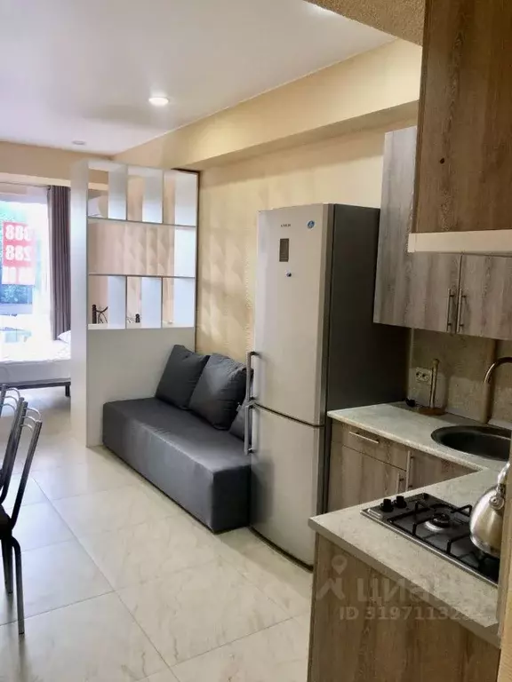 Студия Краснодарский край, Сочи городской округ, Дагомыс пгт ш. ... - Фото 2