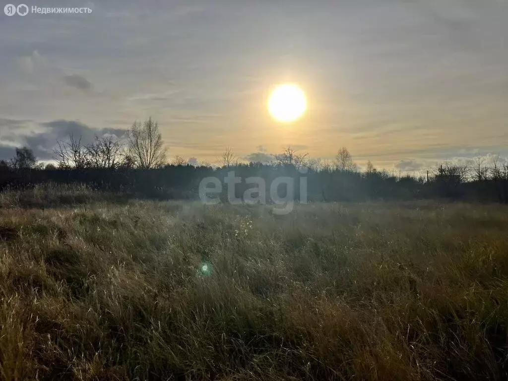 Участок в Калининградская область, Зеленоградский муниципальный округ, ... - Фото 2