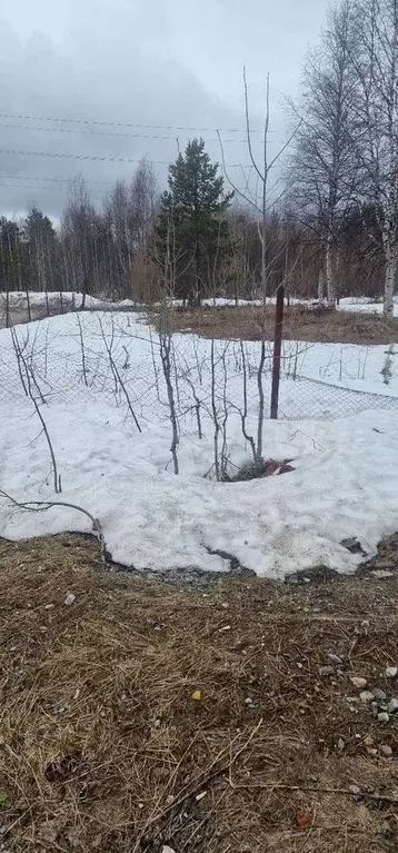 Участок 10 сот. (ИЖС) - Фото 1