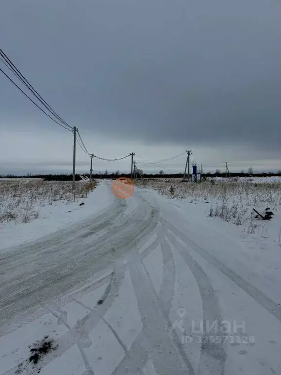 Участок в Тюменская область, Тюменский муниципальный округ, ... - Фото 1