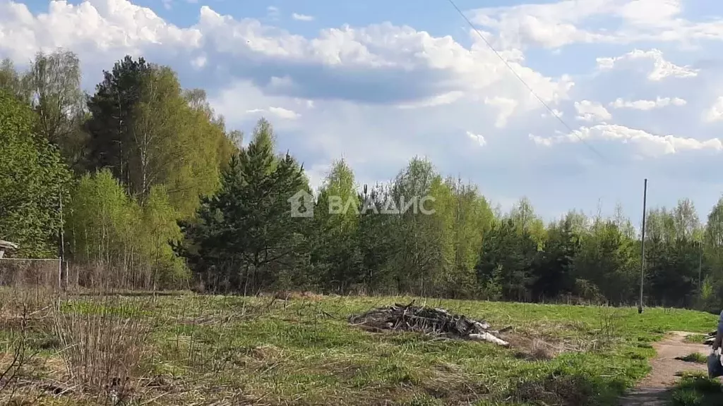 Участок в Владимирская область, Судогодский район, с. Чамерево ... - Фото 2