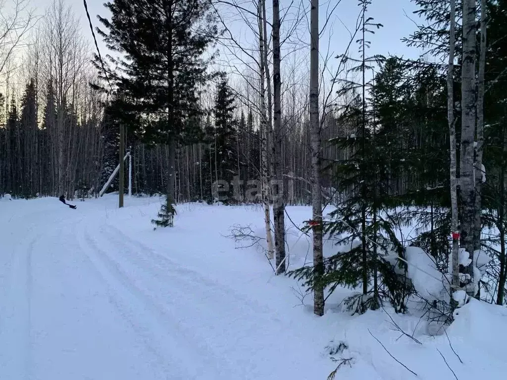 Участок в Ханты-Мансийский АО, Ханты-Мансийск Кузя СОТ, 6 (10.0 сот.) - Фото 0