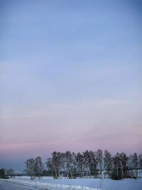 Участок в Новосибирская область, Новосибирский район, Мичуринский ... - Фото 1