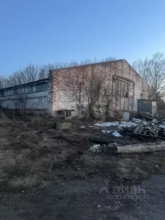 Склад в Тульская область, Алексин городской округ, д. Борисово  (1786 ... - Фото 1