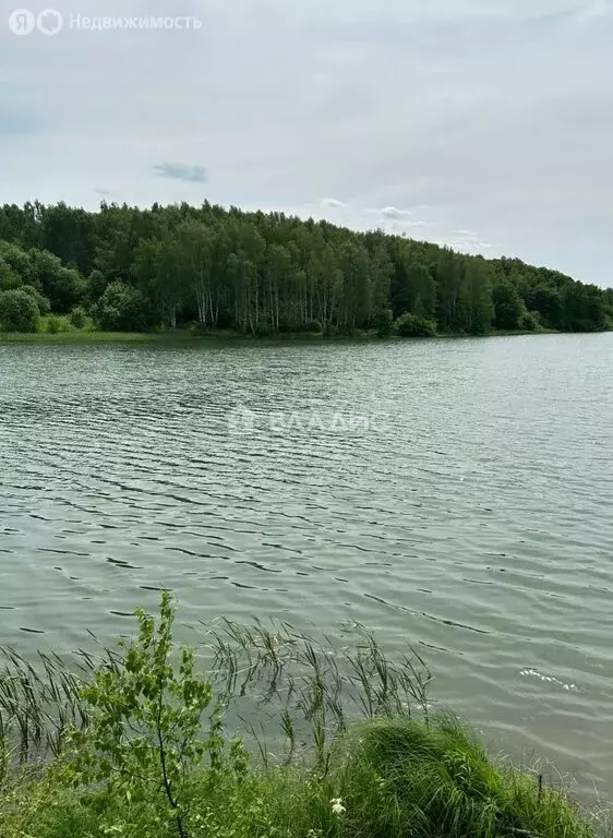 Участок в Нижегородская область, Богородский муниципальный округ, ... - Фото 0