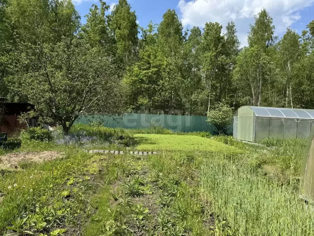 Дом в Брянская область, Сельцо  (40 м) - Фото 1