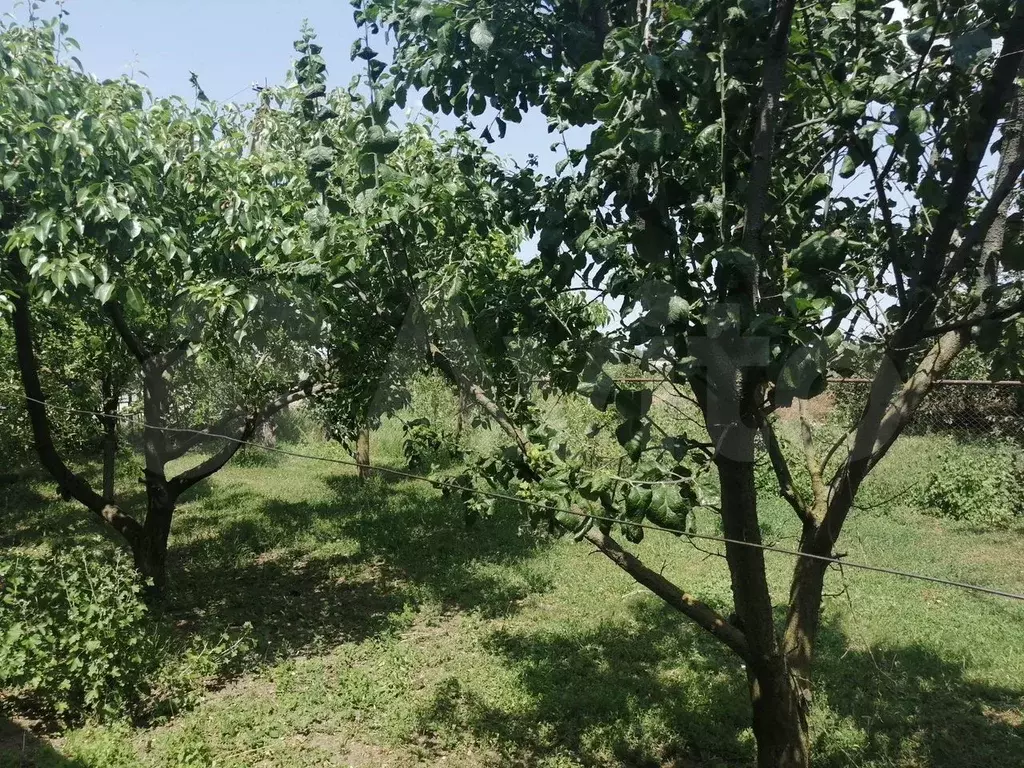 Дом 90 м на участке 14 сот. - Фото 0