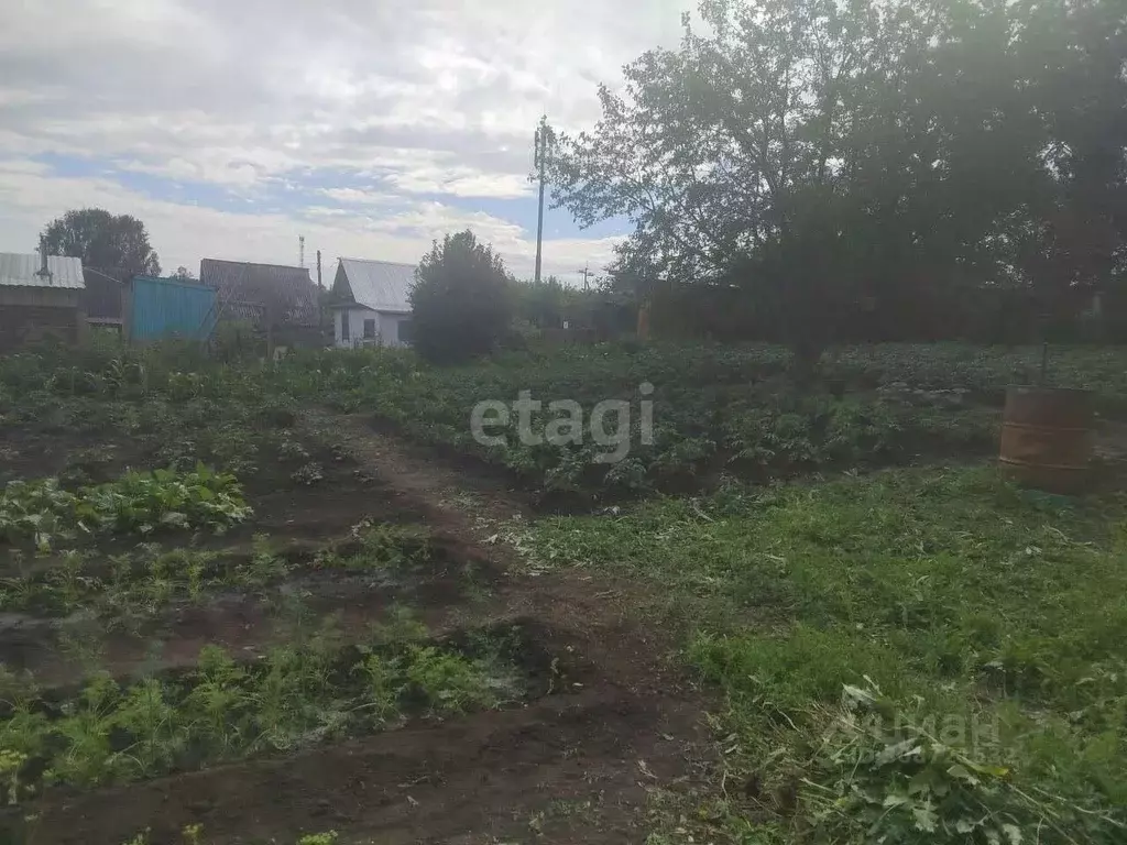 Дом в Новосибирская область, Искитимский район, Чернореченский ... - Фото 1