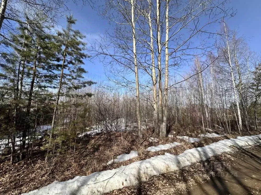 Участок в Иркутская область, Иркутский муниципальный округ, Лесное СНТ ... - Фото 2
