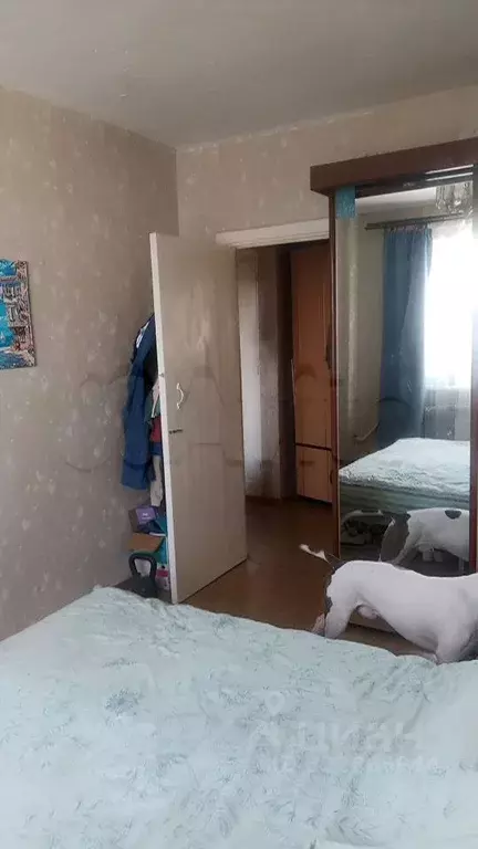 2-к кв. Свердловская область, Нижний Тагил ул. Дружинина, 72 (50.0 м) - Фото 1