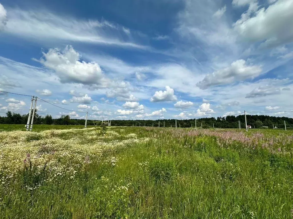 Участок в Московская область, Щелково городской округ, д. Каблуково  ... - Фото 2