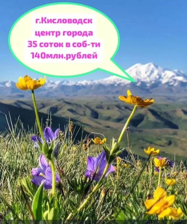 Участок в Ставропольский край, Кисловодск Пятигорская ул., 123 (35.0 ... - Фото 0