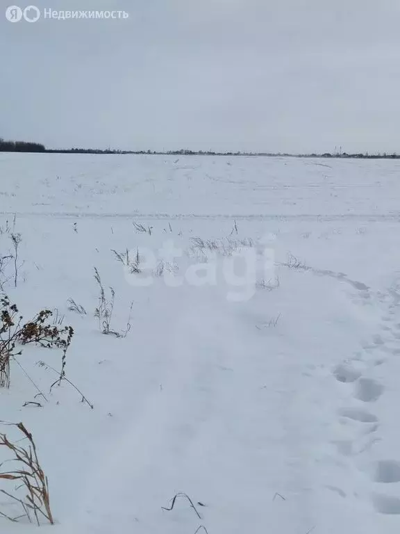 Участок в Тюмень, Ленинский округ (7.86 м) - Фото 1