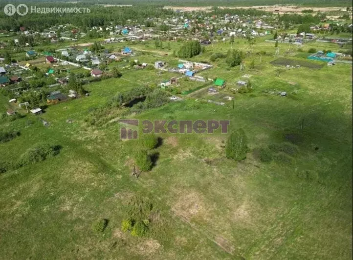 Участок в Тюменская область, Ялуторовский муниципальный округ, садовое ... - Фото 2