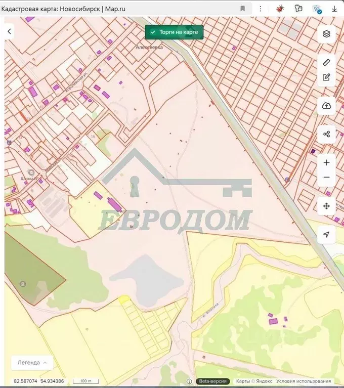 Участок в Новосибирская область, Новосибирский район, Толмачевский ... - Фото 1