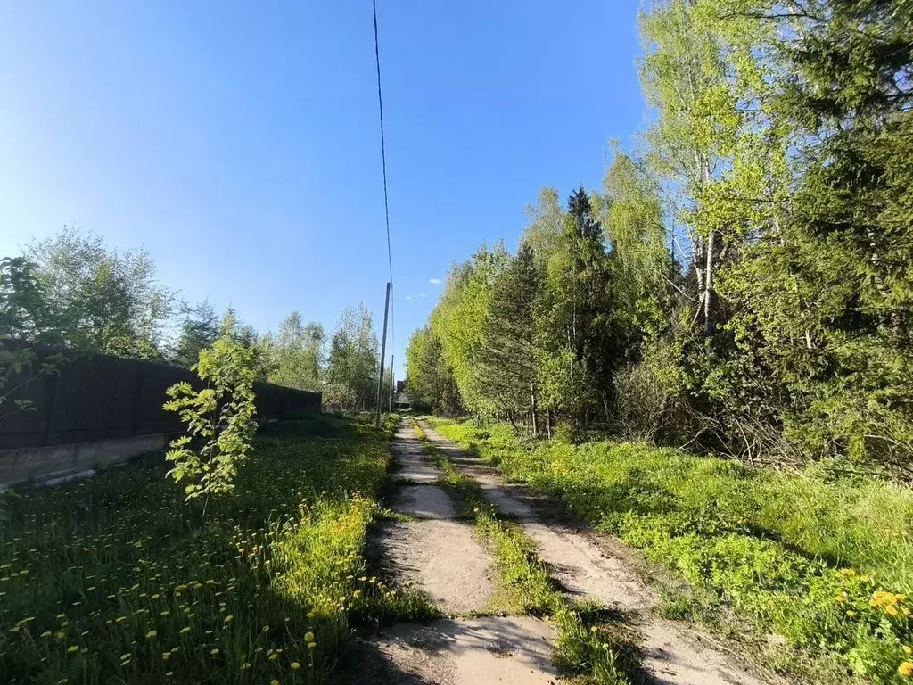 Участок в Московская область, Клин городской округ, д. Селевино ул. ... - Фото 1