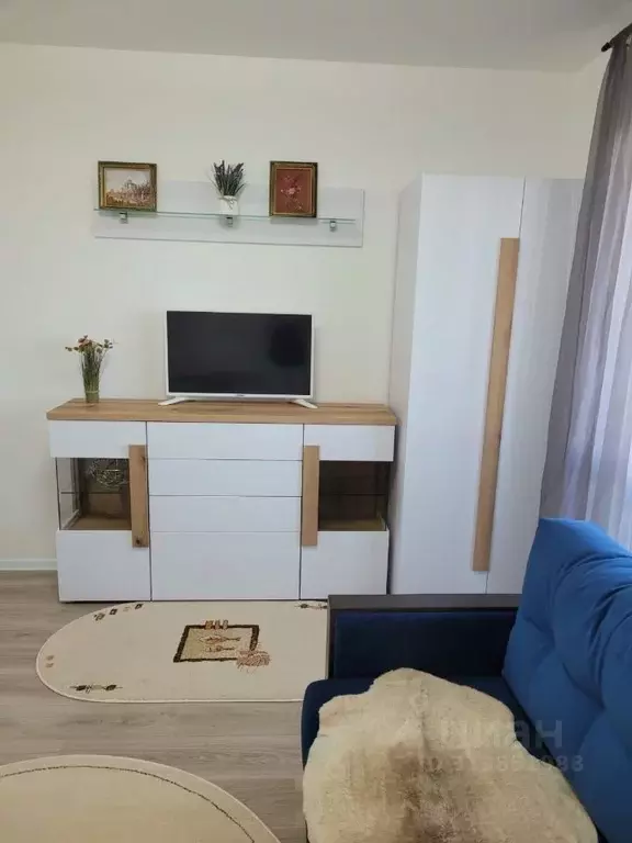 Студия Санкт-Петербург ул. Пахомовская, 23 (19.0 м) - Фото 0