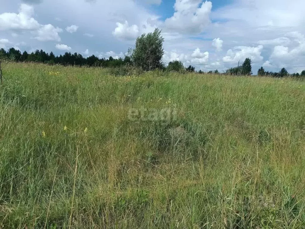 Участок в Свердловская область, Горноуральский городской округ, с. ... - Фото 1