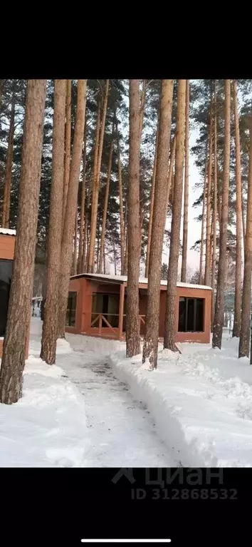 Дом в Новосибирская область, Новосибирск Бердский туп., 10к1 (25 м) - Фото 0