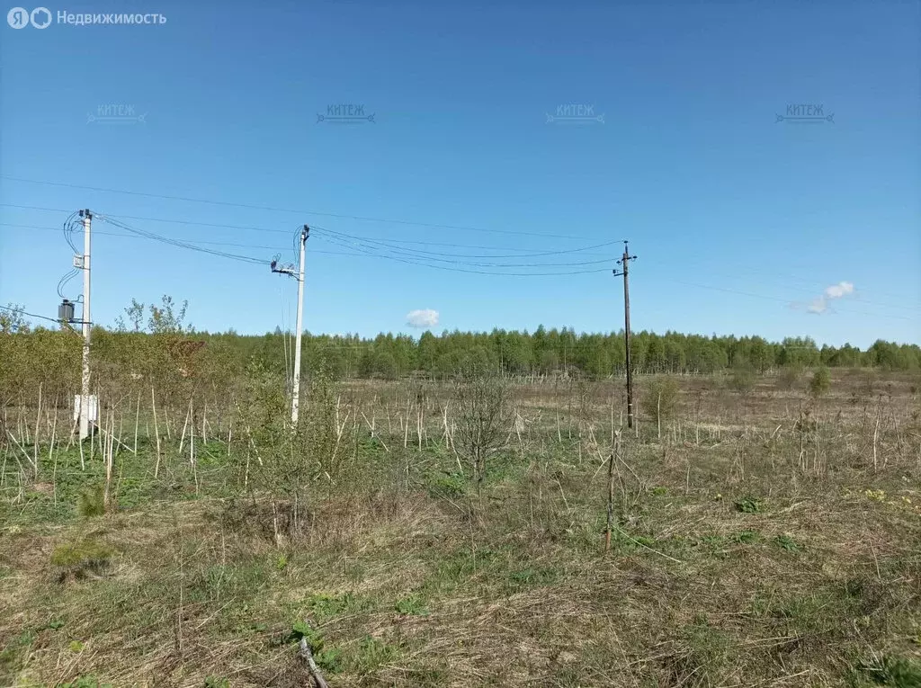 Участок в городской округ Калуга, деревня Аргуново (15 м) - Фото 2