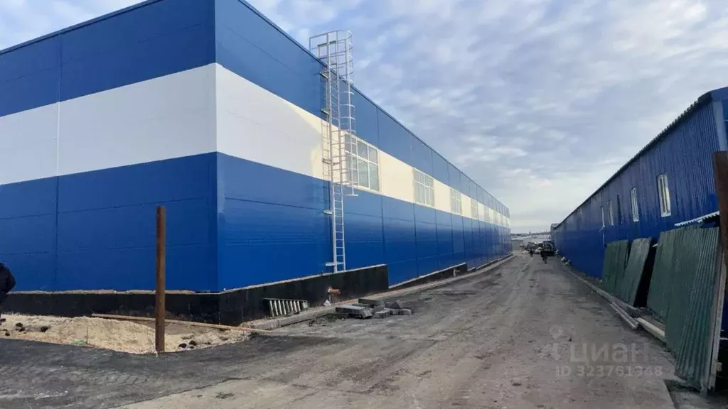 Склад в Нижегородская область, Кстово Столбищенская ул., 131А (3672 м) - Фото 1