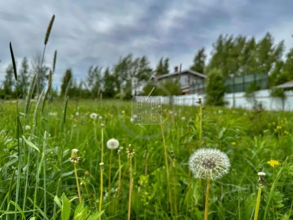 Участок в Калужская область, Калуга городской округ, с. Некрасово ул. ... - Фото 1