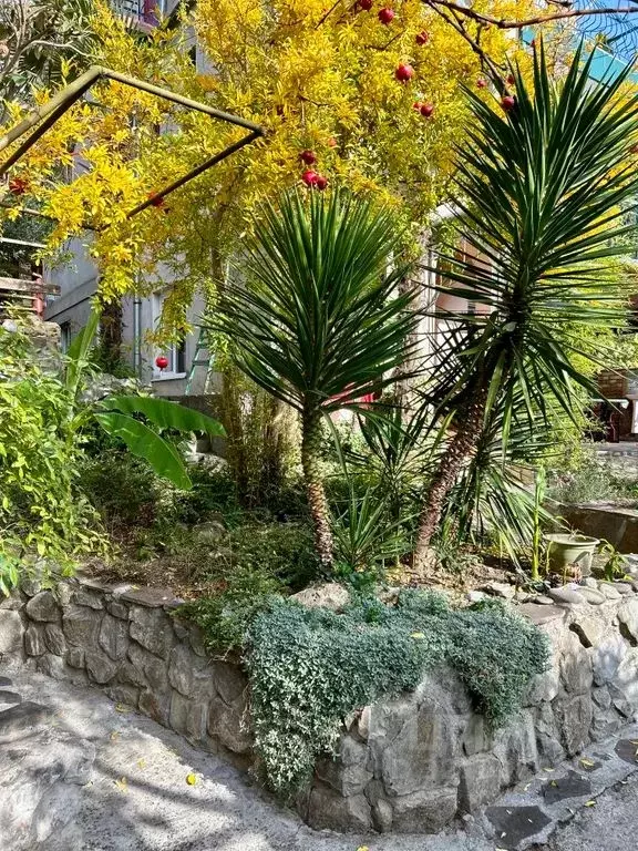 2-к кв. Крым, Ялта ул. Войкова, 10 (65.0 м) - Фото 1