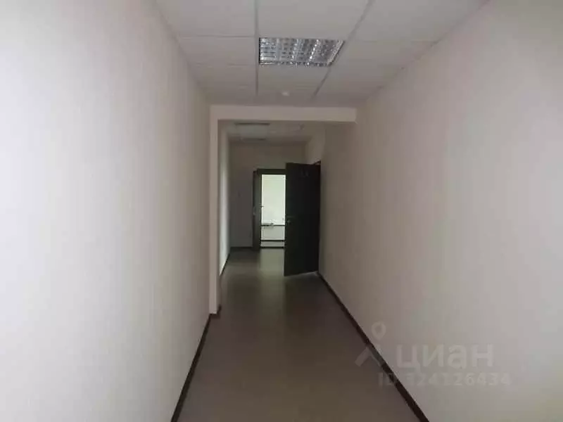 Офис в Нижегородская область, Нижний Новгород ул. Свободы, 15 (137 м) - Фото 2