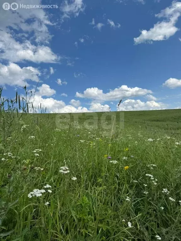 Участок в Алфёрово, улица И.А. Шаркова (9.93 м) - Фото 0