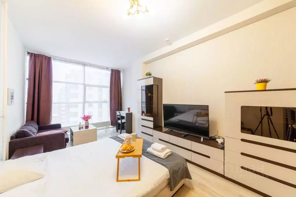 Студия Санкт-Петербург Пулковское ш., 14Е (27.0 м) - Фото 2