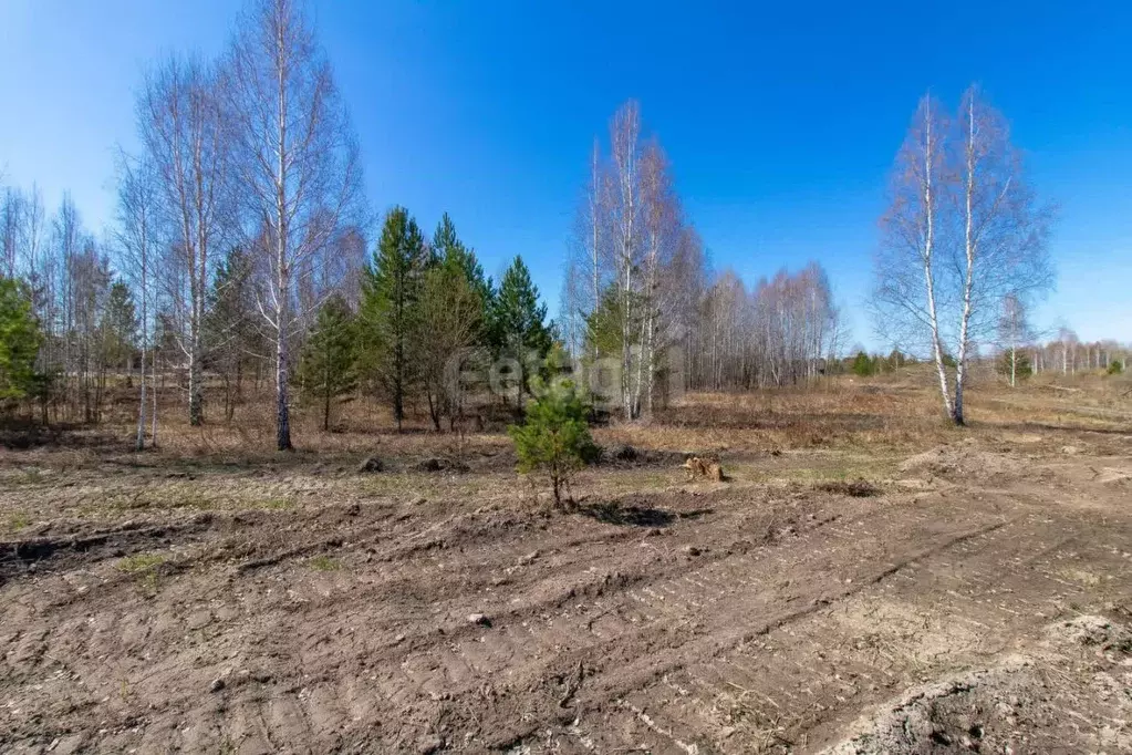 Участок в Тюменская область, Нижнетавдинский муниципальный округ, ... - Фото 1