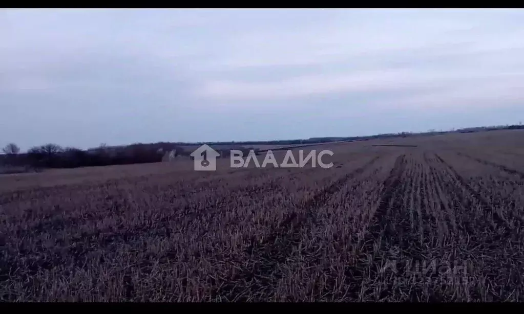 Участок в Белгородская область, Губкинский городской округ, с. ... - Фото 1