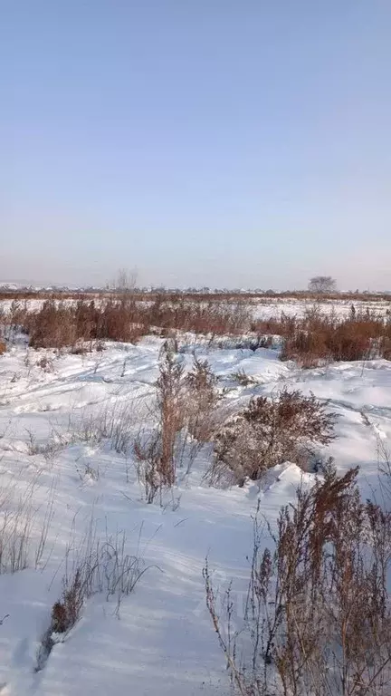 Участок в Бурятия, Иволгинский район, Сотниковское с/пос, с. Сотниково ... - Фото 1