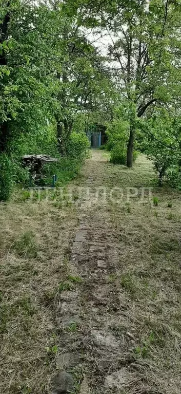 Участок в Ростовская область, Октябрьский район, Красюковское с/пос, ... - Фото 0