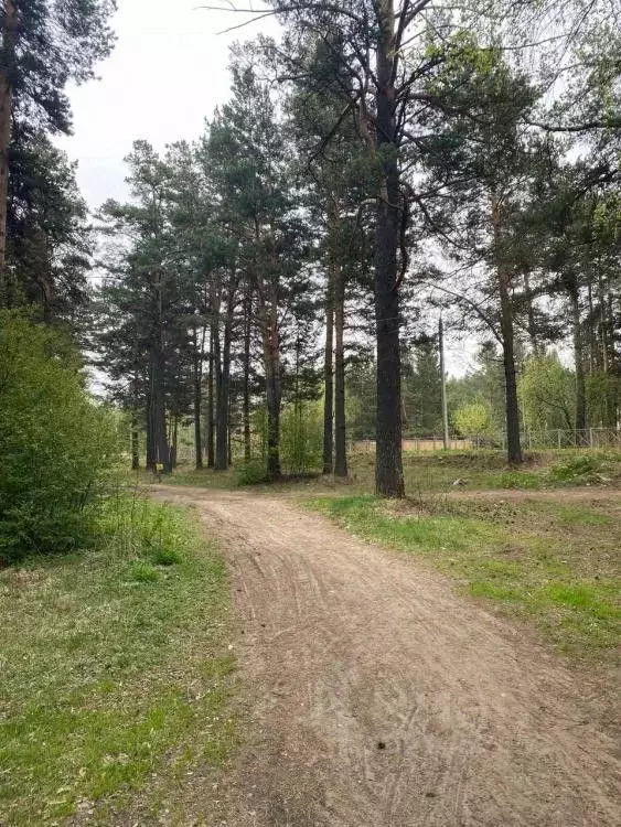 Участок в Иркутская область, Иркутский муниципальный округ, с. ... - Фото 1