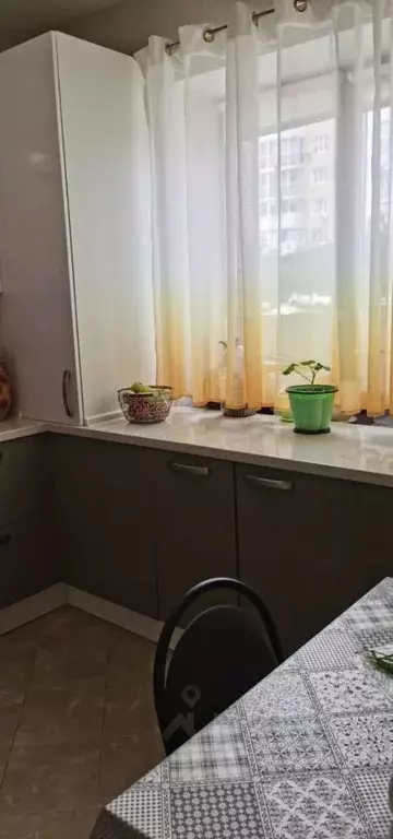 Комната Белгородская область, Белгород ул. Каштановая, 11 (16.0 м) - Фото 1