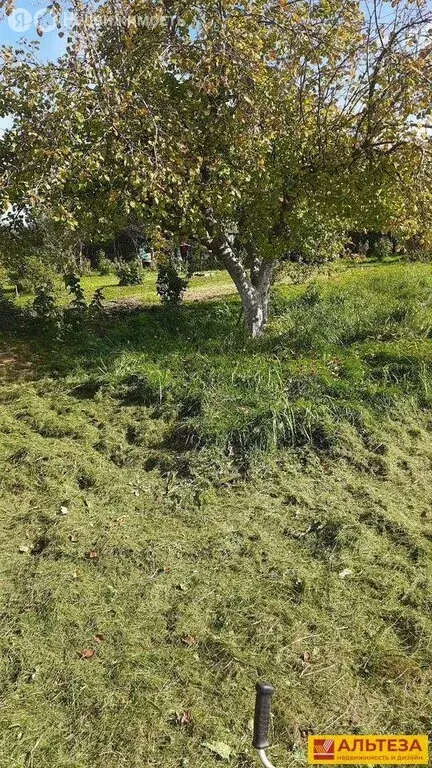 Участок в Пионерский, СНТ Пограничное, 174 (3.5 м) - Фото 1