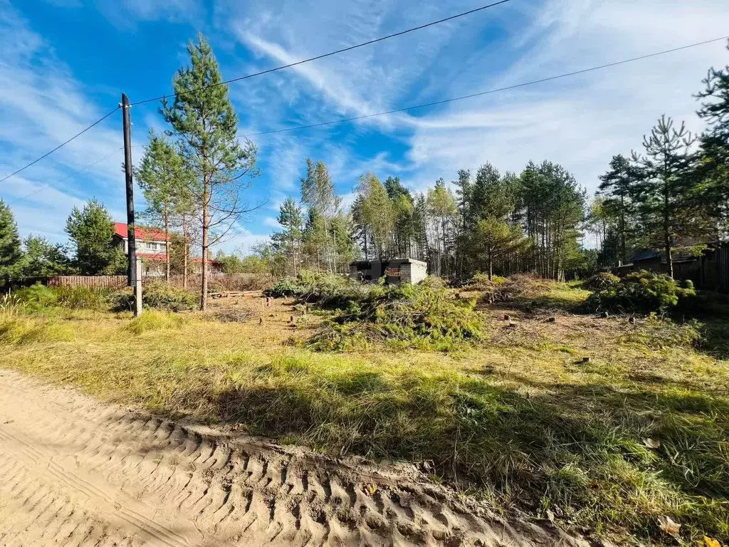 Участок в Владимирская область, Петушинский район, Пекшинское ... - Фото 1