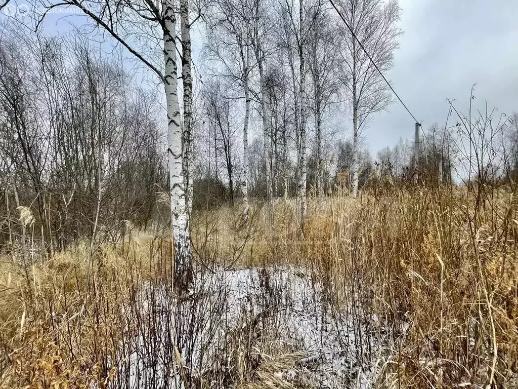 Участок в Тюменская область, Нижнетавдинский муниципальный округ, СНТ ... - Фото 1