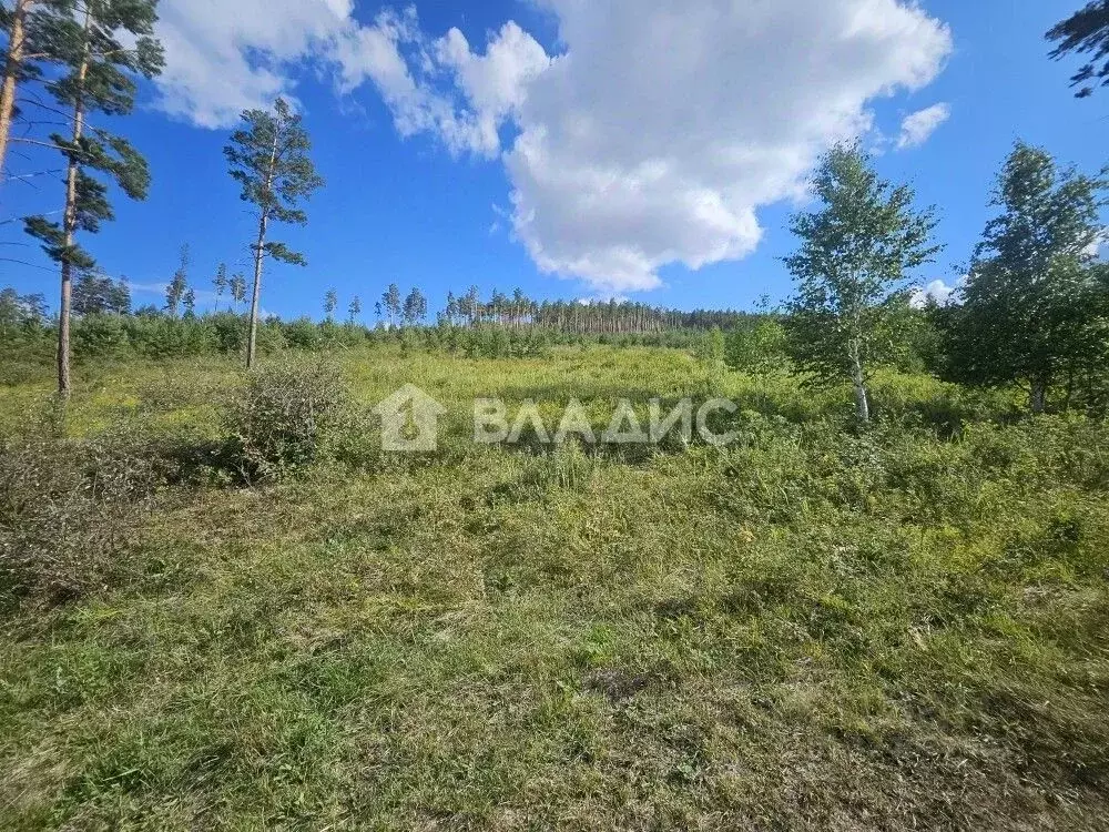 Участок в Бурятия, Иволгинский район, Сотниковское с/пос, с. ... - Фото 2