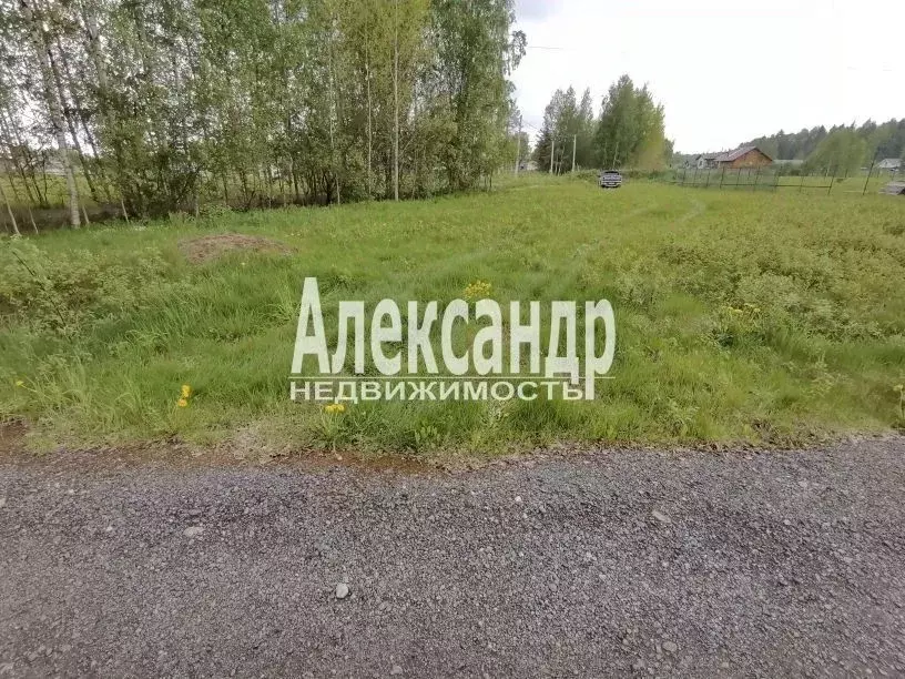 Участок в Ленинградская область, Всеволожский район, Свердловское ... - Фото 2