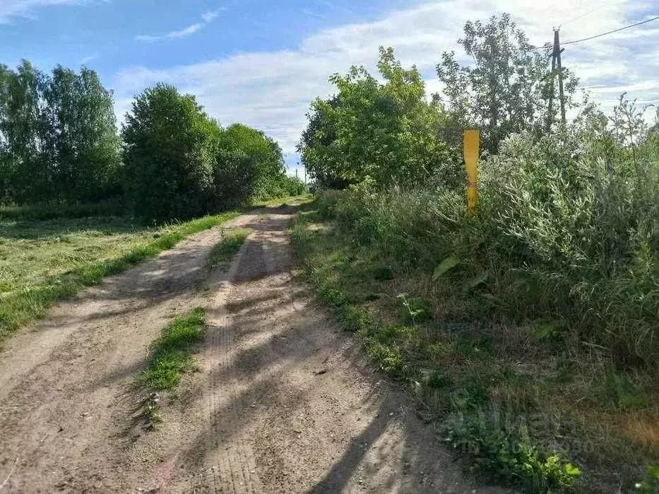 Участок в Кировская область, Киров городской округ, д. Петуховы 8 (9.0 ... - Фото 1