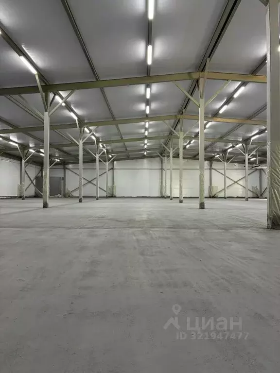 Помещение свободного назначения в Московская область, Долгопрудный ... - Фото 1